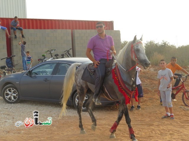 فيديو : فتيان وشباب كفرقاسم في مهرجان الخيول القسماوية في سهل البلدة .. لكن ينقصهم الدعم والرعاية من البلدية  